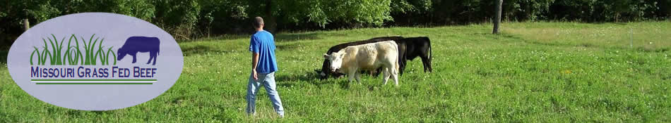 Missouri Grass Fed Beef