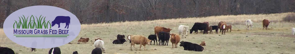 Missouri Grass Fed Beef