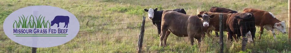 Missouri Grass Fed Beef
