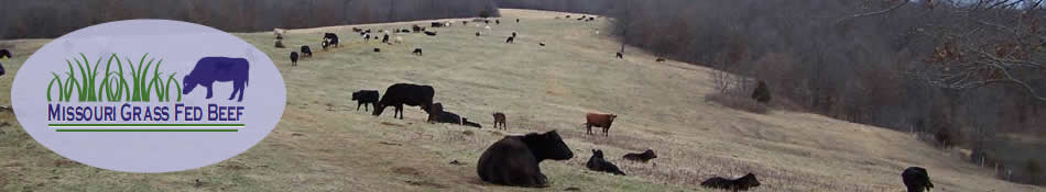 Missouri Grass Fed Beef