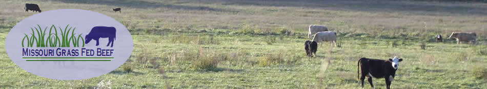 Missouri Grass Fed Beef