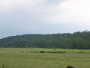 Missouri Grass Fed Beef First-Time Customer Center